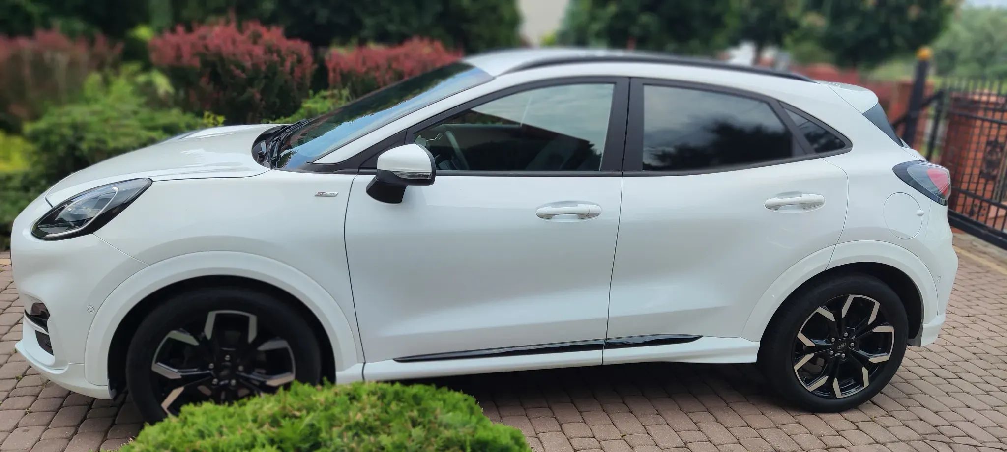 Ford Puma Puma STline X 155KM automat