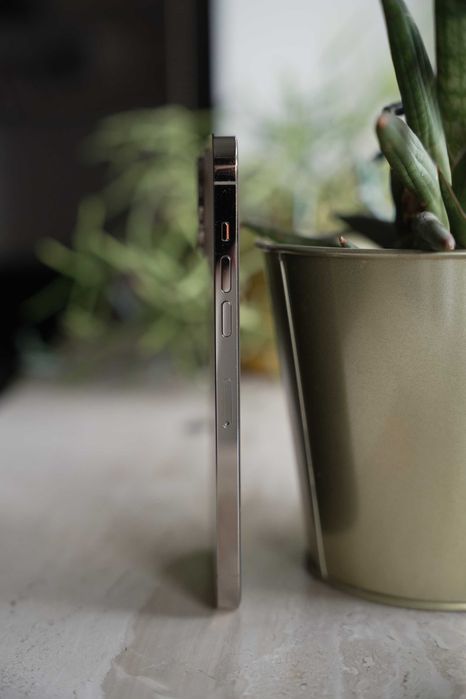 iPhone 14 Pro Max (Złoty) 256GB + Etui Apple