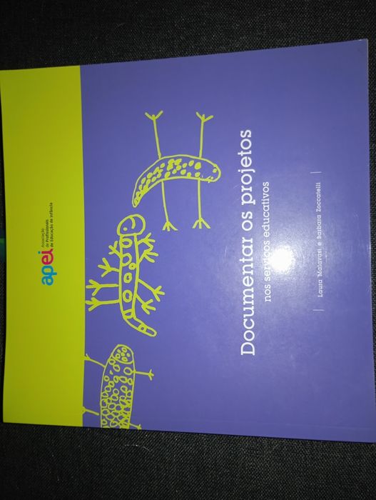 Documentar projetos APEI