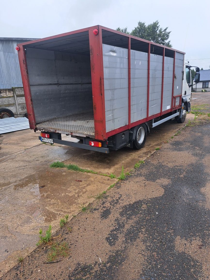 daf lf do przewozu zwierząt