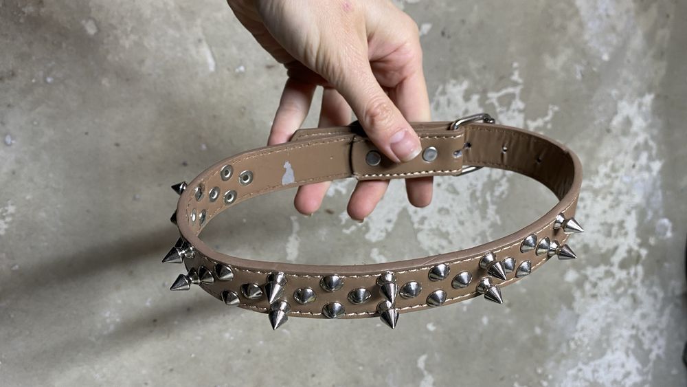 Ошийник для собаки великої породи