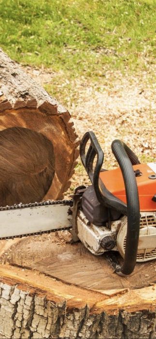 Спилювання, обпилювання дерев.