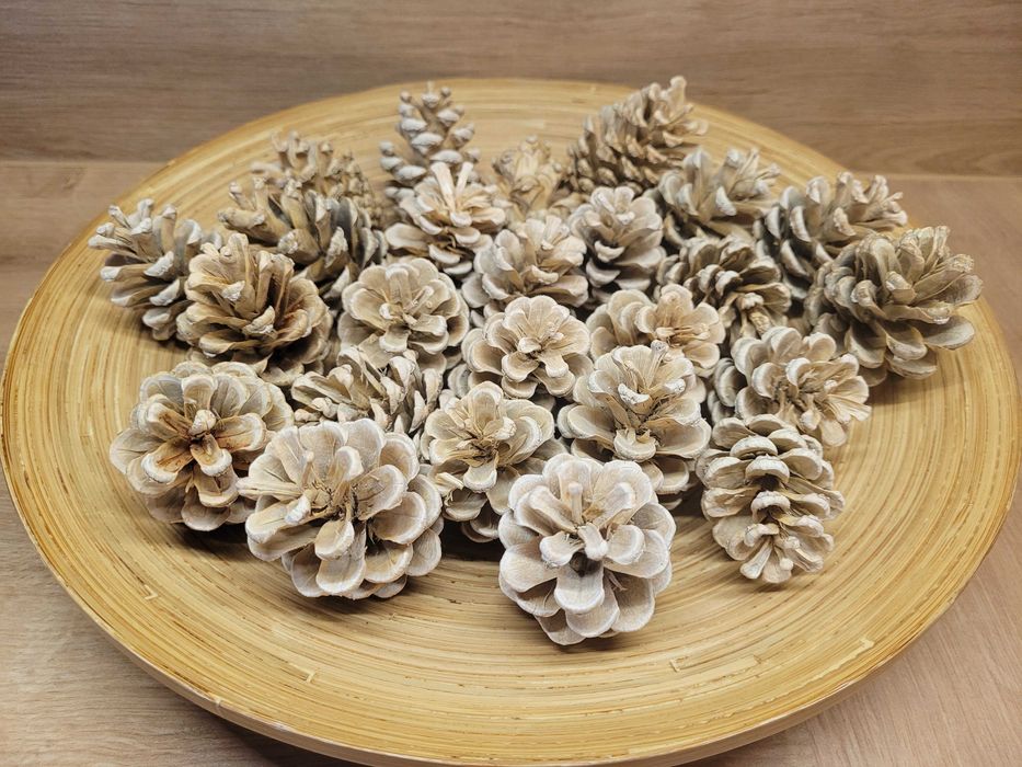 zestaw artykuły plastyczne - szyszki bielone, kasztany i żołędzie