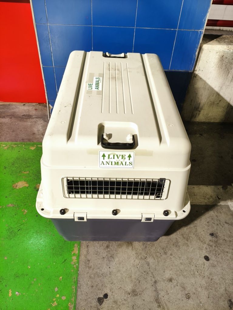 Transportadora de animais