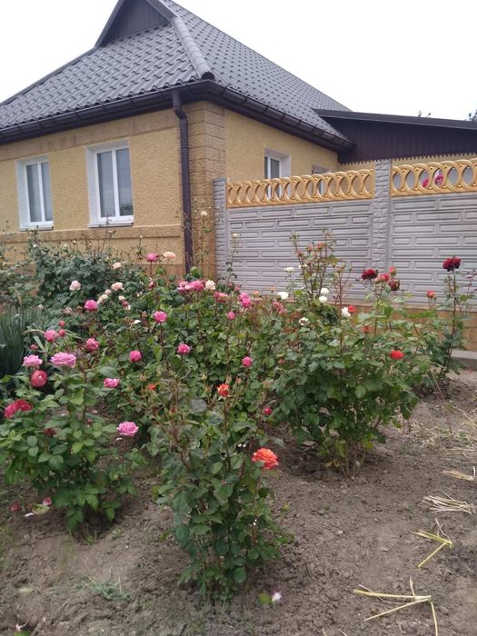 Продам будинок в м. Нова Одеса