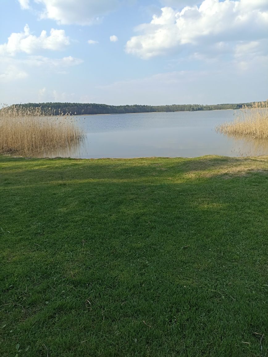 Domki na Mazurach do wynajęcia