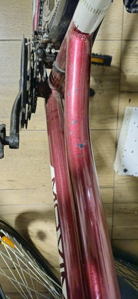 Rower maxim 28 cali damka