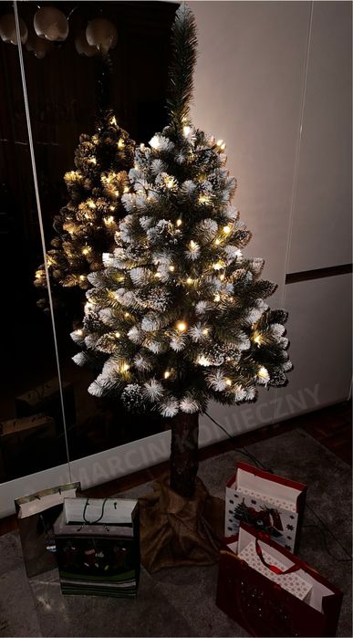 Choinka na pniu + GRATIS