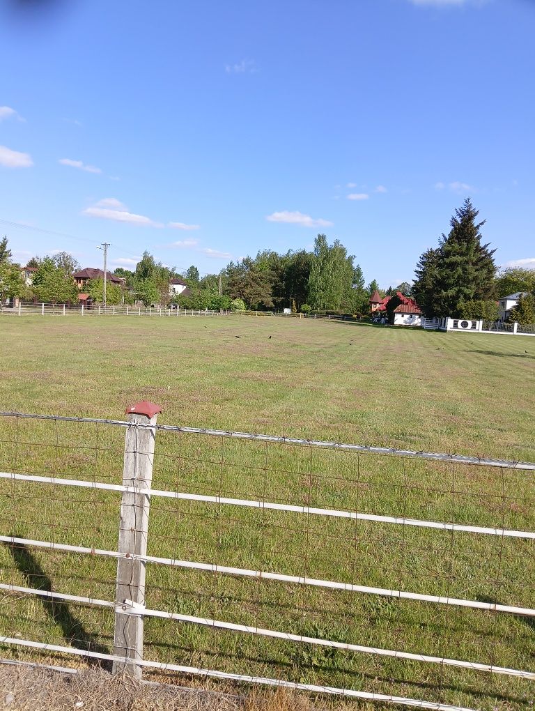 Zajmuje się pracami ogrodniczymi