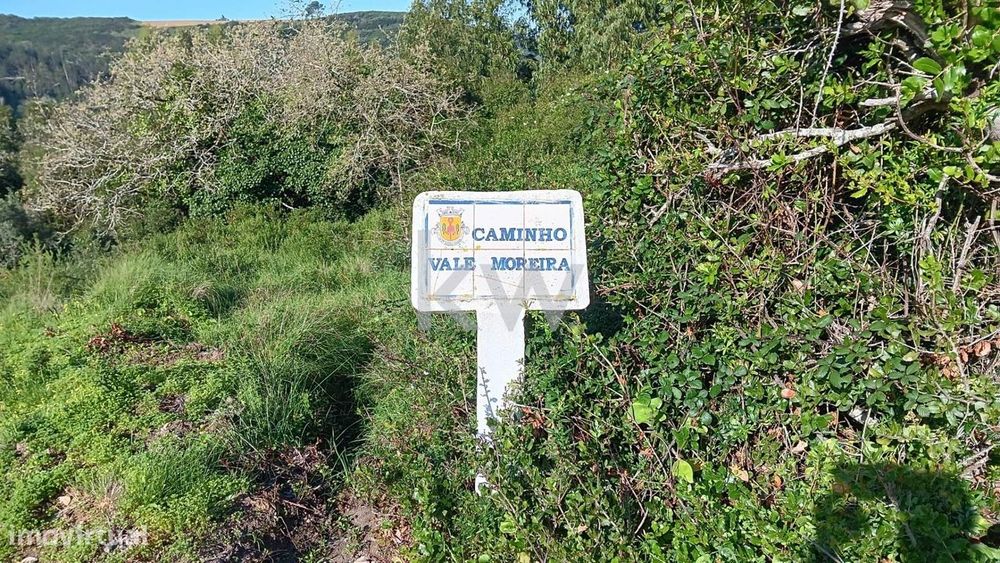 Venda Terreno em Vale Moreira, Santo Isidoro, Mafra