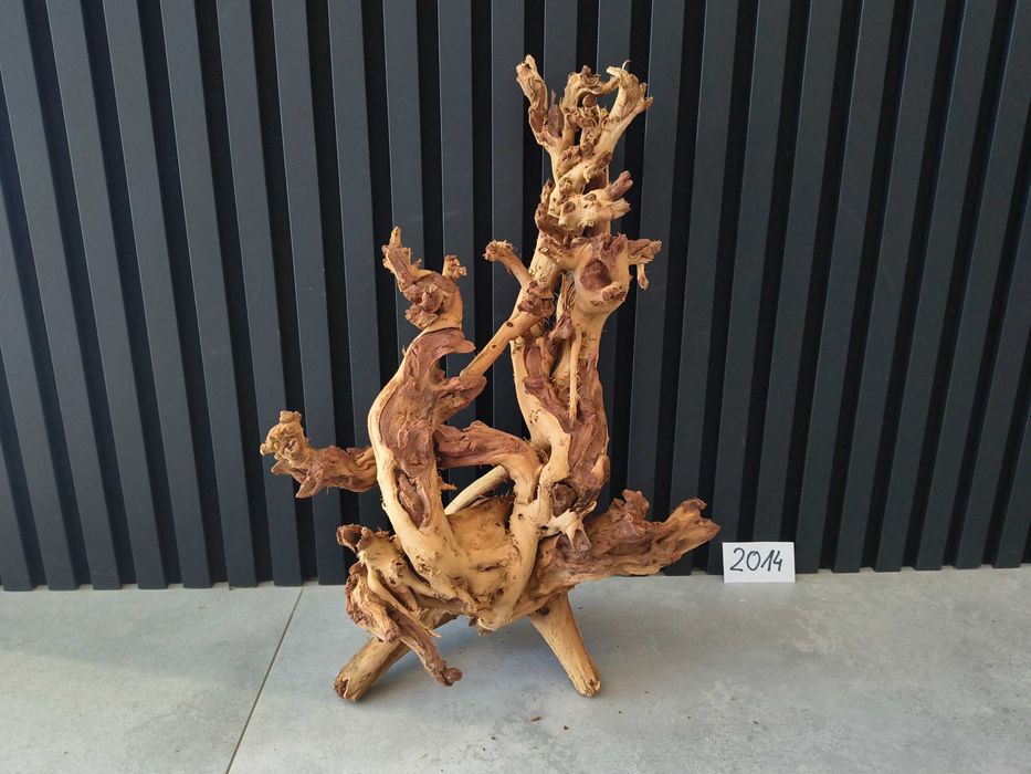 korzeń Bell Wood masywny 2014 do akwarium terrarium 56x39x20 NOWOŚĆ