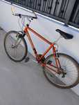 Bicicleta de adulto