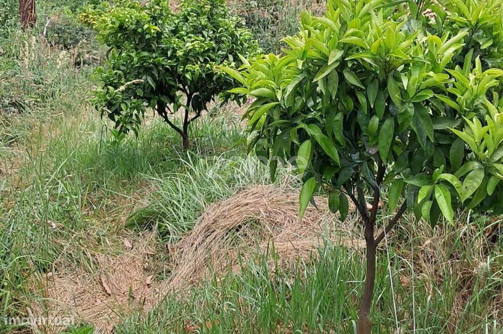 Terreno rústico com 5.670 M2 em Fradelos V.N. Famalicão