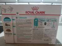 Mokra karma dla kota Royal Canin Urinary