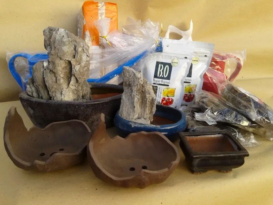 Esfagno (Sphagnum) musgo p/ Bonsai / Carnívoras / Orquídeas INTERIOR