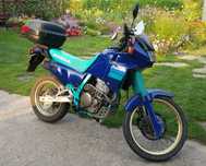 Motocykl Honda NX 650 Dominator, stan techn wzorowy