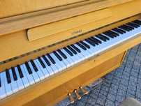 Pianino Hellas M110 renner w jasnym dębie na gotowo