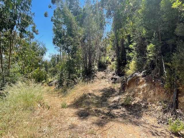 Terreno na Foia, Monchique