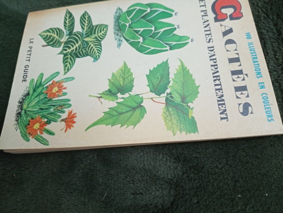 Cactees et plantes d'appartement - un petit guide de la serie ... 1966