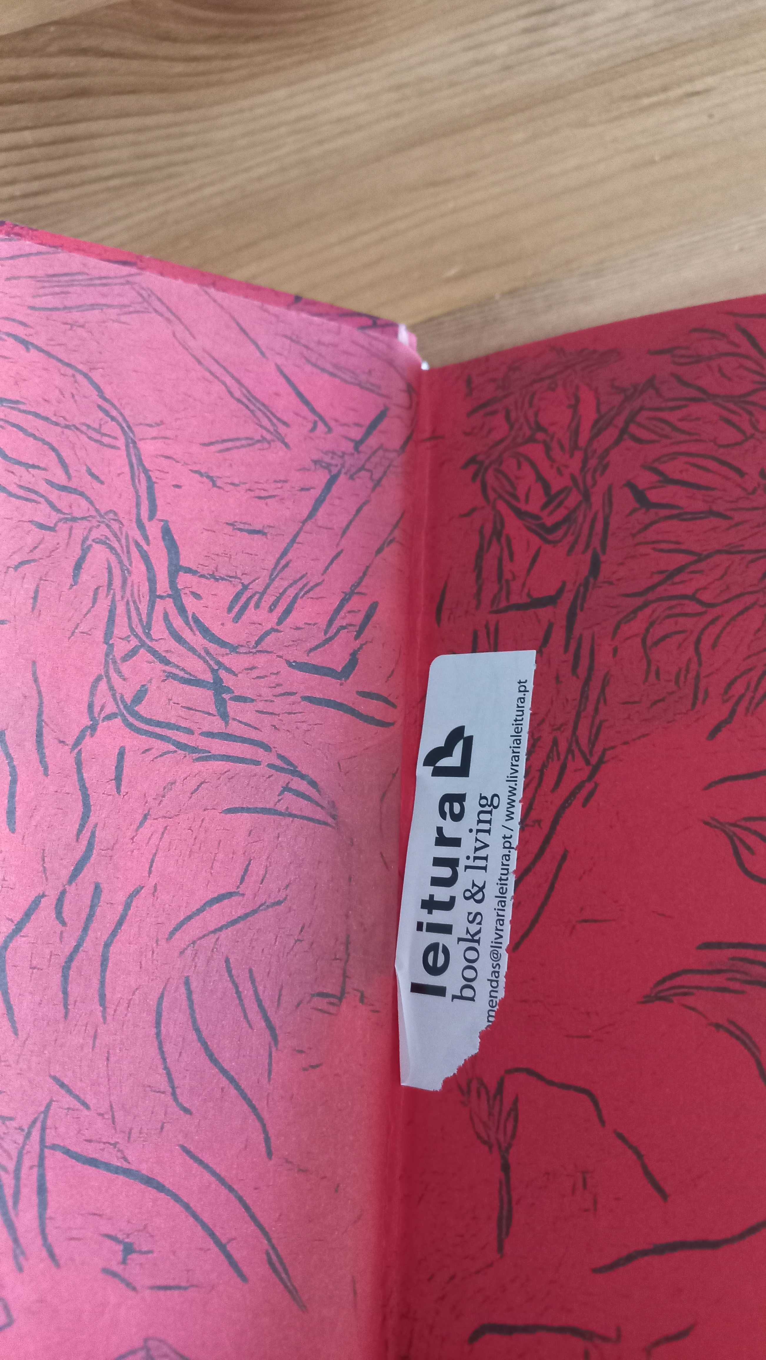 Livro' história do  sábio  fechado na sua biblioteca