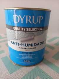 Tinta anti-humidade Dyrup