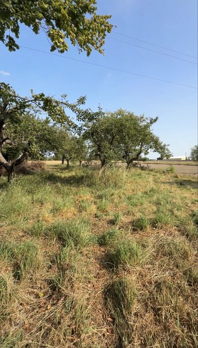 Dzialka zabudowana 1600m