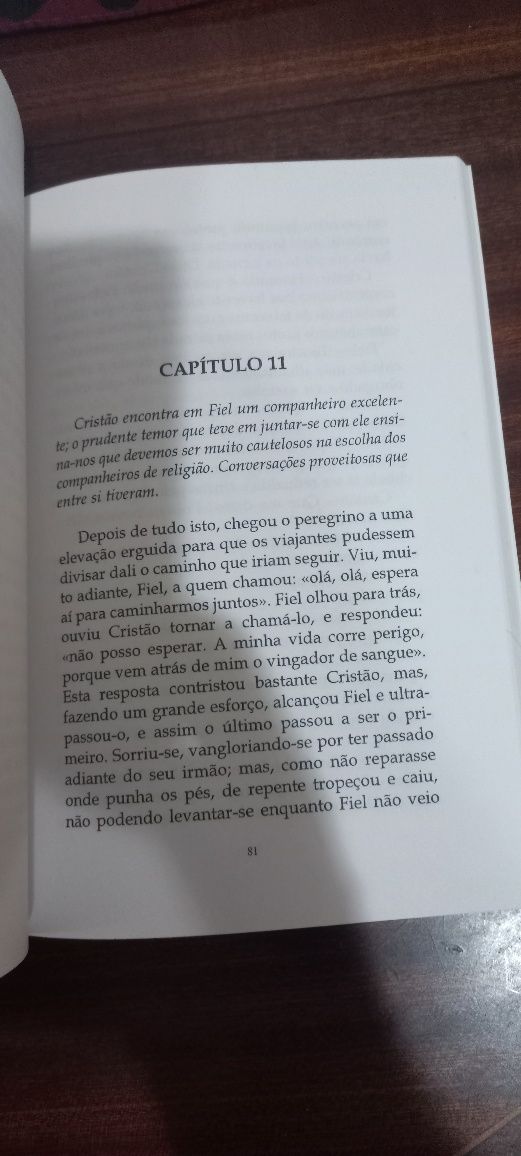 Livro O Peregrino