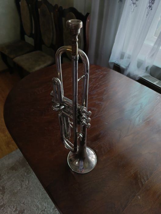 Труба музична біла