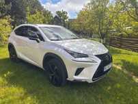 Lexus NX Lexus NX300 2019 | AWD | Bezwypadkowy | Biała Perła