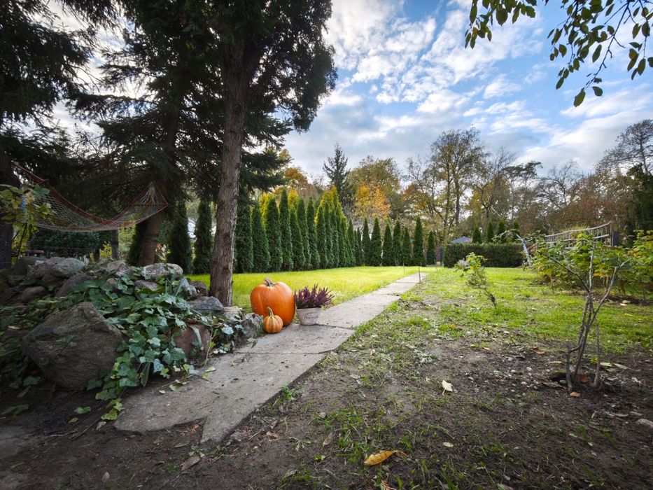 Działka ROD - Droga dębińska (Wilda) 196 m2