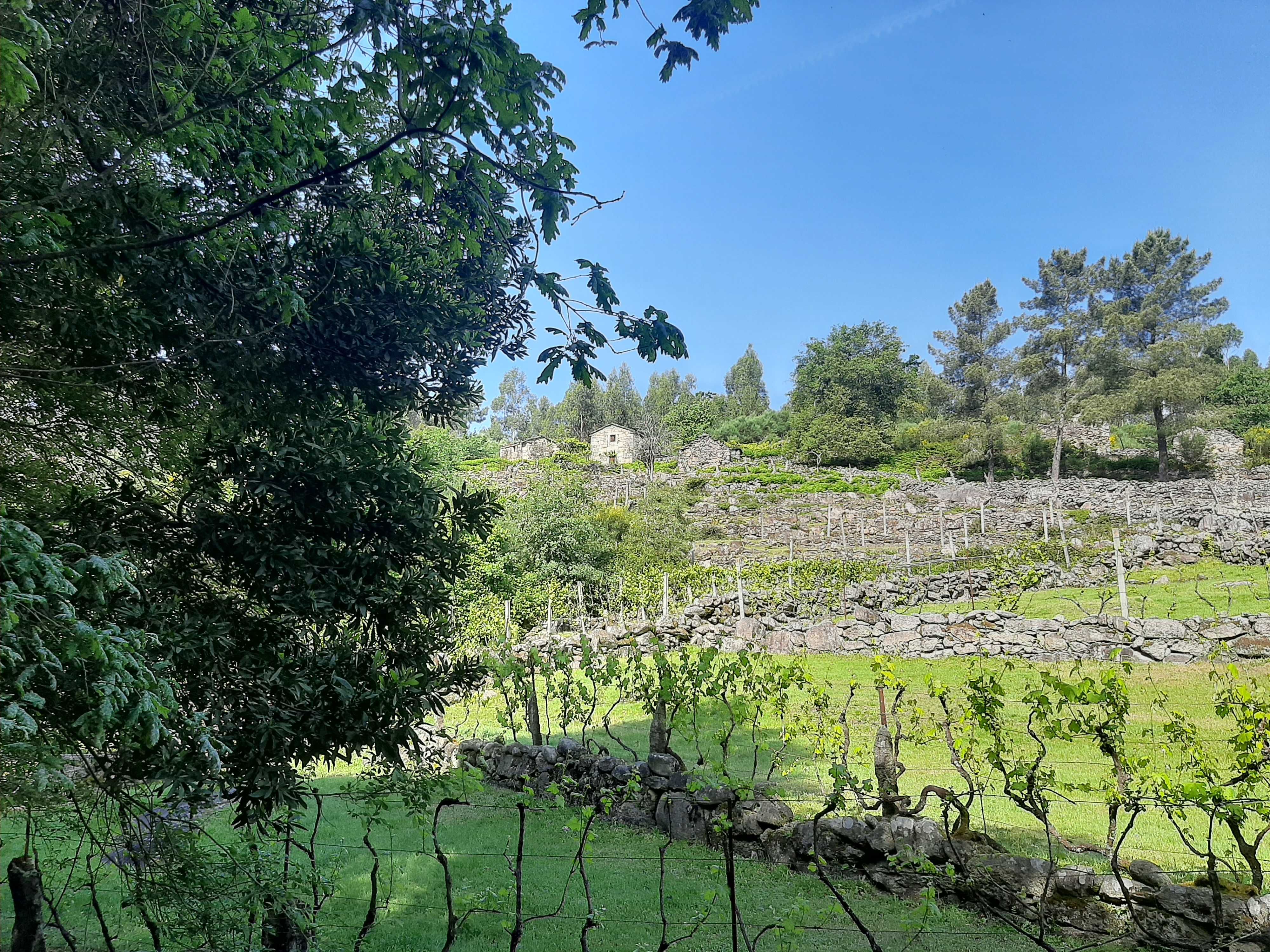 Terreno no Soajo