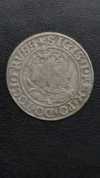 Moneta Zygmunt I Stary Grosz 1534