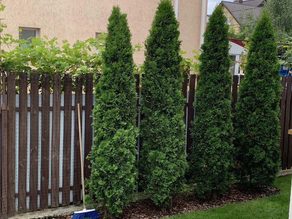 Послуги садівника