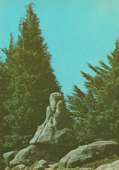 Gerês - - - Postais antigos (b) (cerca de 30 anos) - - - - - Postais