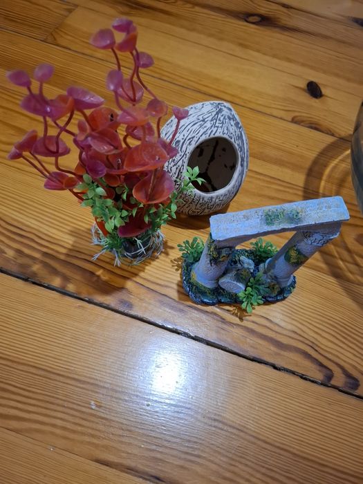 Ozdoby do akwarium roślinka kokos domek