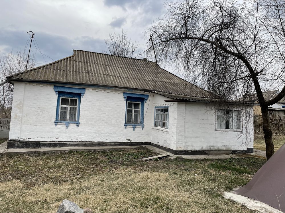 Будинок в київській обл. с. Брилівка