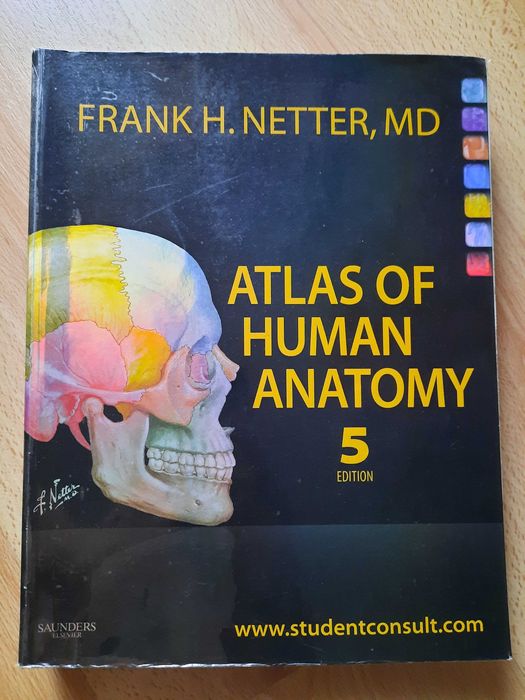 Atlas of Human Anatomy