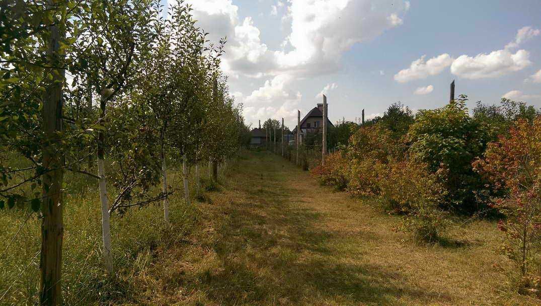 с.Ясногородка Вышгородский р-н