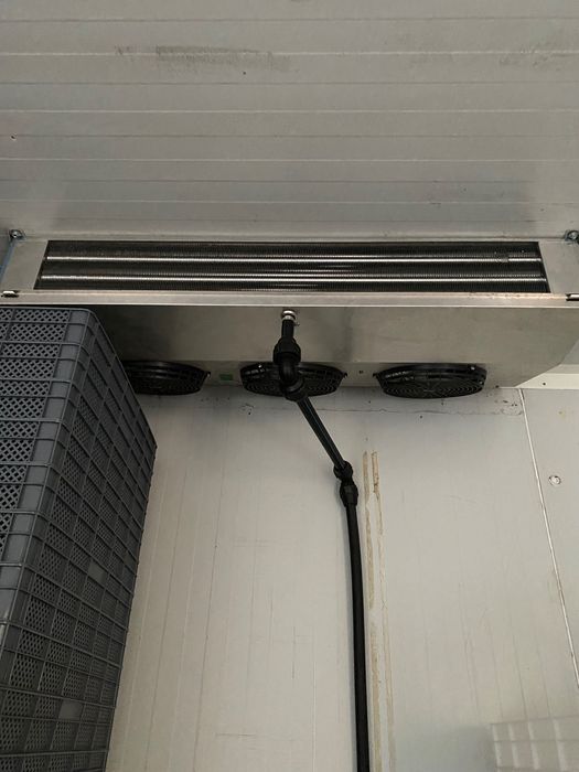 Frigorifico industrial