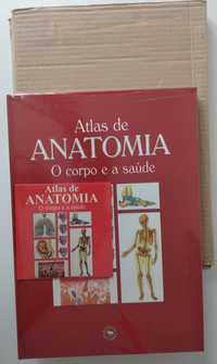 Atlas de Anatomia Humana - livro e cd novos na película original