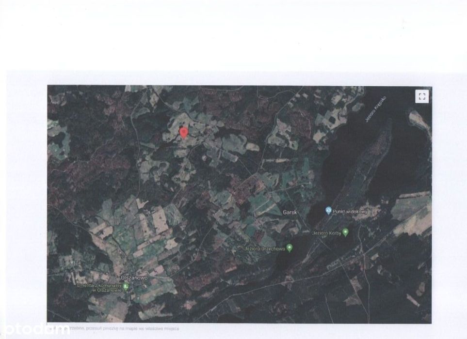 Olszanowo , Grodzisko od 6 ha do 39 ha  sprzedaż dzierżawa
