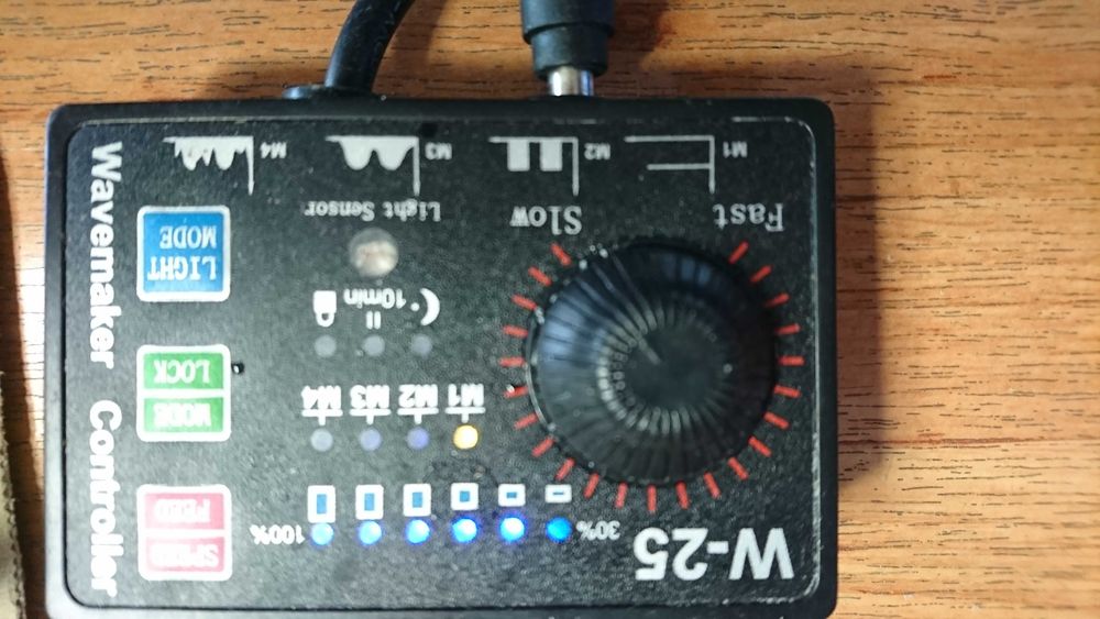 Ryby i korale Morskie