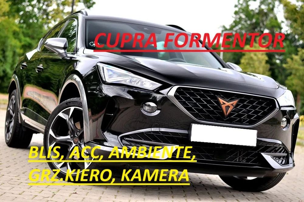 Cupra Formentor *Blis *ACC *Ambiente *Grz.Kiero *3xClima *Kamera *Alu19 *KeyLess