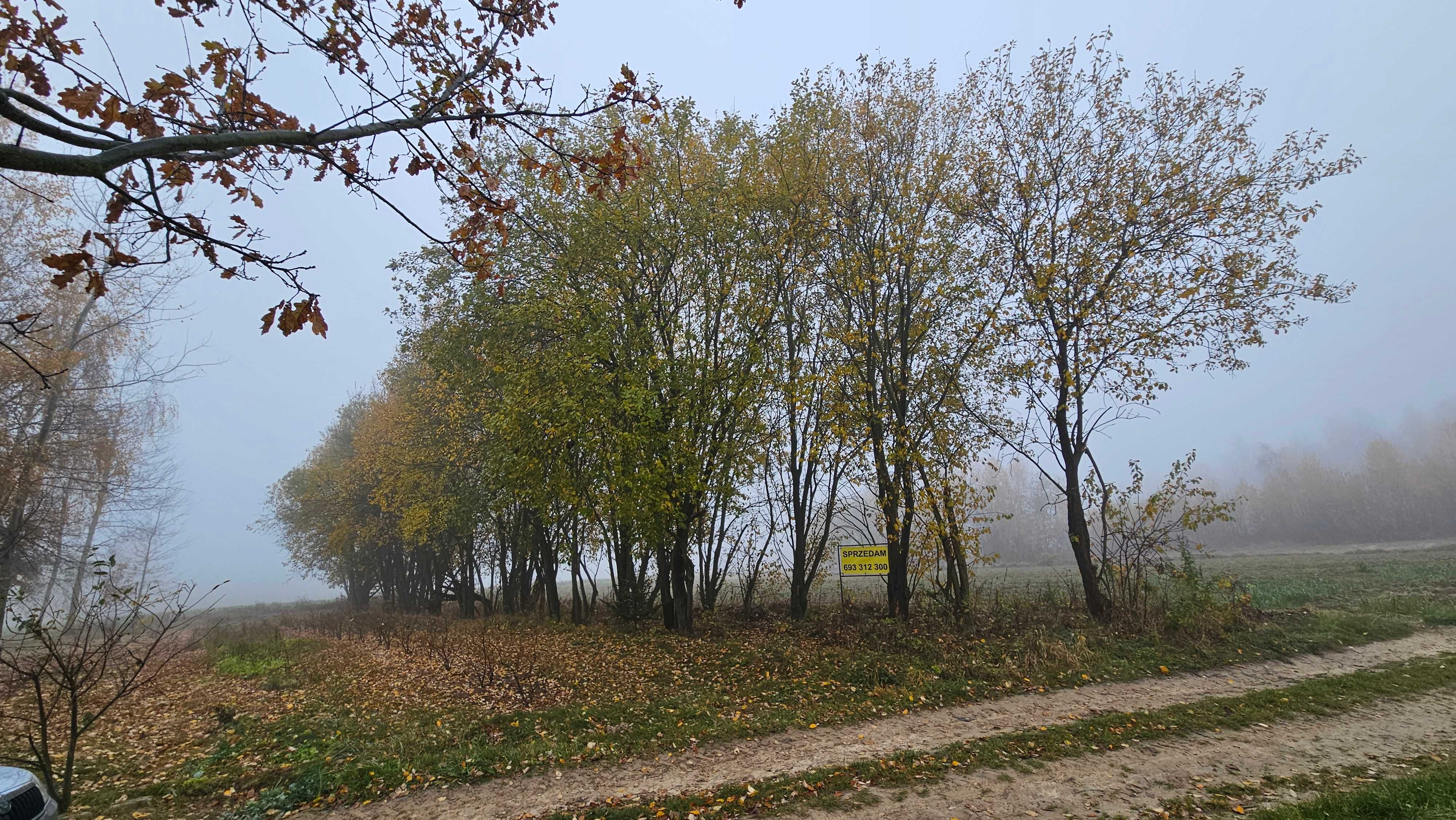 Działka 400,00 m2