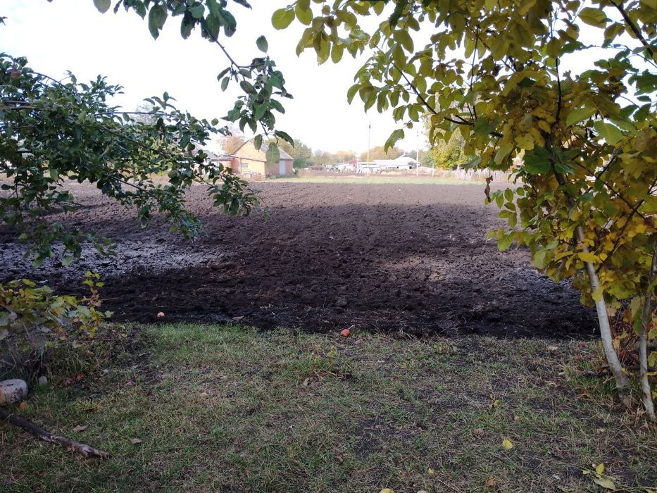 Продам будинок в селі