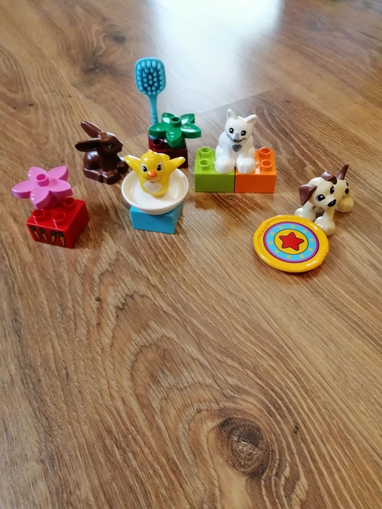 Lego duplo zestaw zwierzątek