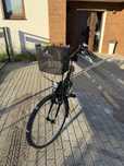 Rower Bitwin Damski Damka