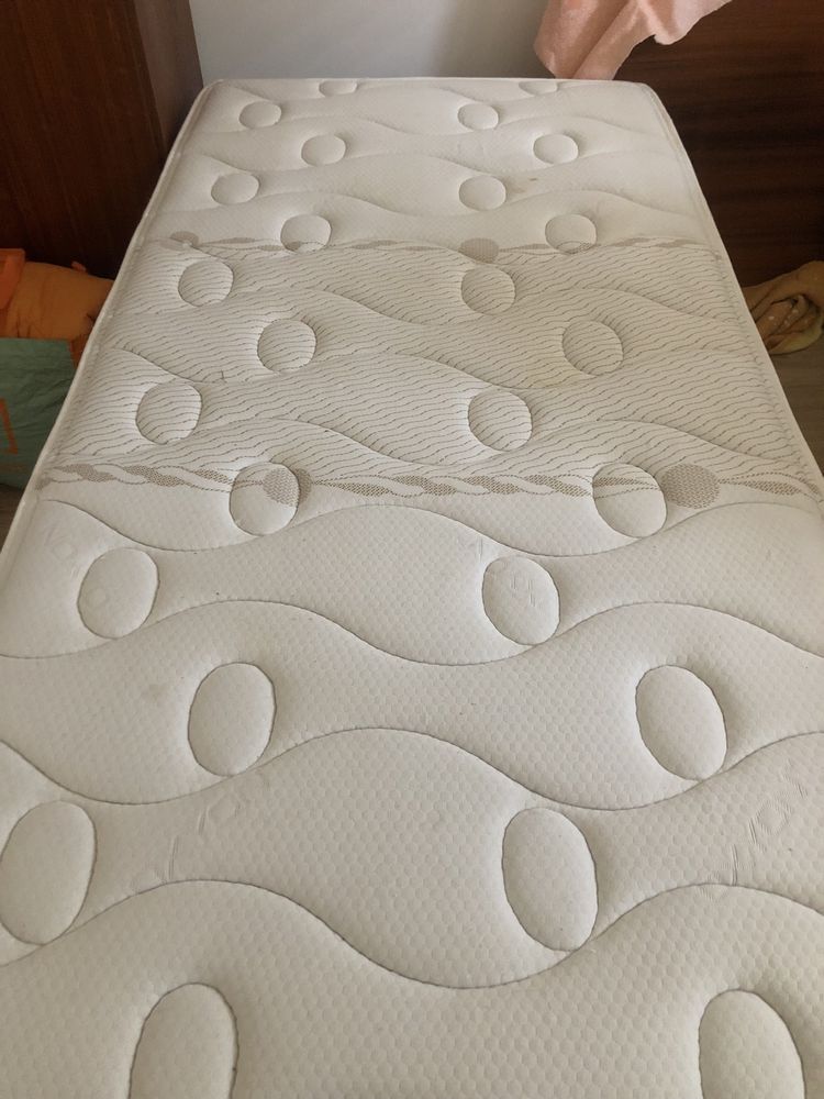 Base de cama 195x95cm e colchão Molaflez