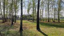Al.Krakowska DZIAŁKA BUDOWLANA Wola Przypkowska 800 m2 Tarczyn