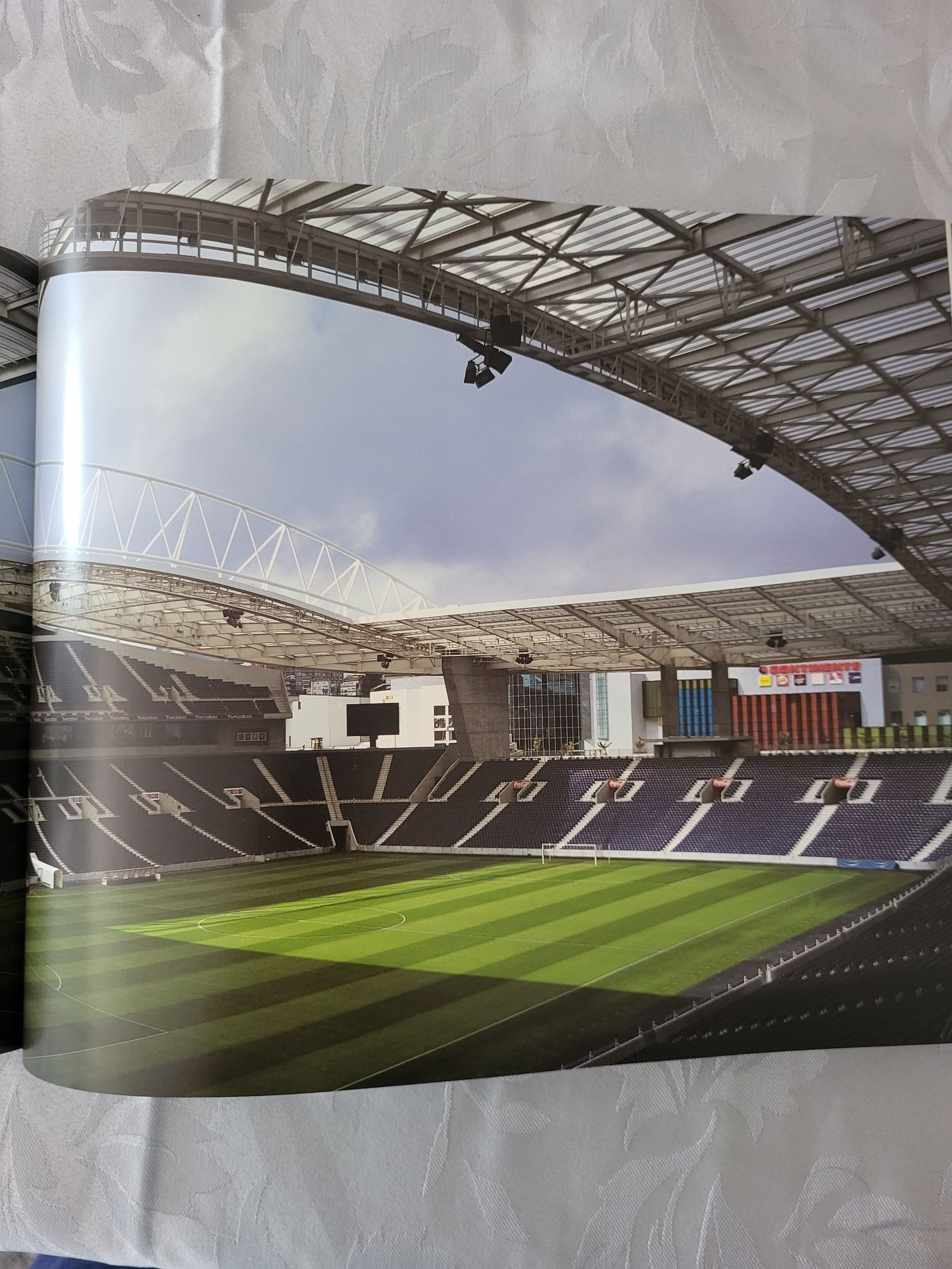 Livro estádio do dragão